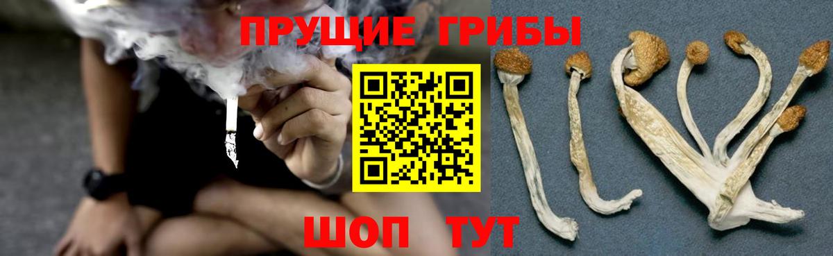 Галлюциногенные грибы Psilocybe  Вход с VPN  Каменск-Уральский 